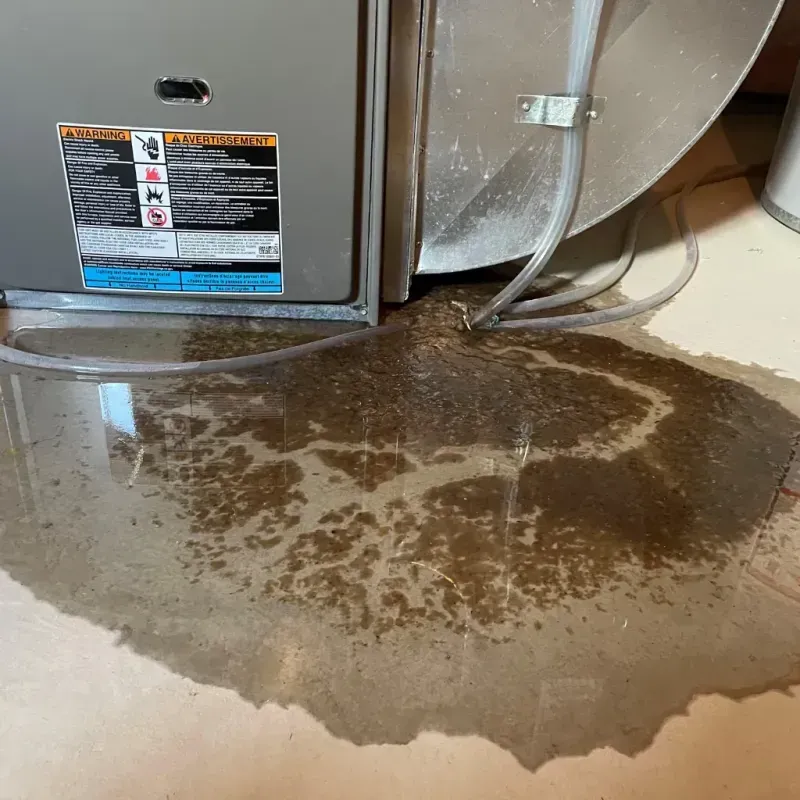 Appliance Leak Cleanup in Orleans County, VT